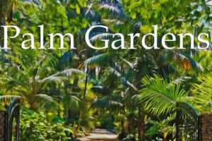 हल्द्वानी में बनाया गया प्रदेश का पहला पाम गार्डन