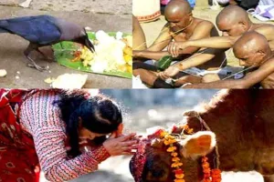 पुरखो का पर्व: पितृपक्ष में कौआ, गाय और कुत्ते को कराते हैं भोजन, गाया पिंड दान जैसी बातों का क्या है रहस्य