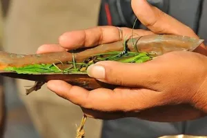 पितृपक्ष पर विशेष: आशीर्वाद पिता का…