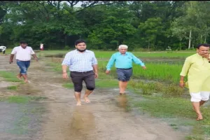 रायबरेली: नैया नाला के पास बसे गांवों में जलभराव, ग्रामीण परेशान