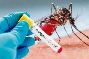 डेंगू से बचाव के लिए जनपद में निरंतर की जा रही कार्रवाई : कानपुर सीएमओ