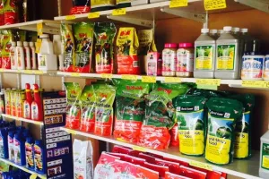 बरेली: अब व्यापारी बिना बिल नहीं बेच सकेंगे कीटनाशक, वरना होगा लाइसेंस निरस्त