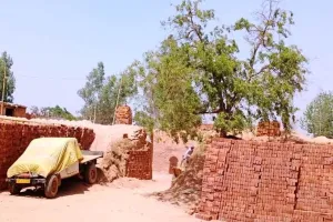 बरेली: कोयले की कमी से ईंट के कारोबार पर मंडराया संकट