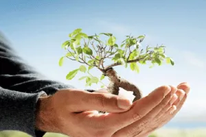 NBWL का बड़ा फैसला, संरक्षित क्षेत्रों में पर्यावरण का प्रभाव घटाने के लिए नहीं लगेगा निर्धारित जुर्माना