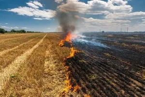 लखनऊ: पराली का धुआं बना चिंता का विषय, बढ़ता है वायु प्रदूषण