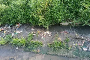 बरेली: मोहल्ले में जलभराव, रिश्तेदारों ने बंद किया आना