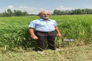 रायबरेली: ऊंचाहार में जादुई चावल का उत्पादन, पानी में डालते ही पक जाएगा