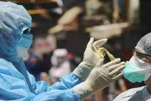 यूपी: 31 जिलों में नहीं मिले कोरोना के एक भी मरीज, 22 जिलों में केवल एक-एक संक्रमित