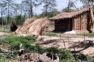 हल्द्वानी: प्राग फार्म में विस्थापन को डीएम की रिपोर्ट का इंतजार