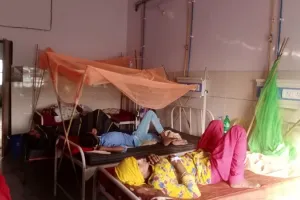 मुरादाबाद: गक्खरपुर में डेंगू के दो नये मरीज मिले, अब तक तीन की मौत