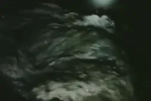 सीतापुर: शारदा नदी का तटबंध टूटा, एक दर्जन गांवों तक पहुंचा पानी 