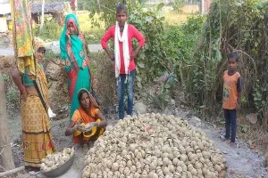 देश की मिट्टी देगी चाइनीज झालरों को मात, अब बदल रही गांव से लेकर शहरों तक की सोच