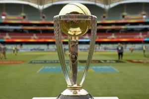 पुरुष टी20 विश्व कप में पहली बार उपयोग किया जाएगा डीआरएस