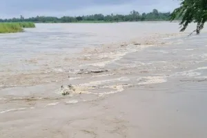 पीलीभीत: शारदा में दोबारा पानी छोड़ने की अफवाह से मची अफरा तफरी, ग्रामीण गांव से निकलकर ऊंचे इलाकों में भागे