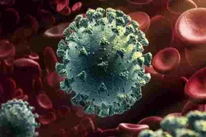 यूपी सरकार का दावा: कोविड पर प्रभावी नियंत्रण, 24 घंटों में 69 जिलों में एक भी मरीज नहीं