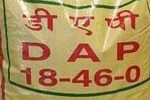 अमेठी: डीएपी खाद न मिलने से किसानों को हो रही काफी परेशानी