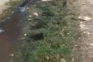 बांदा: भ्रष्टाचार की भेंट चढ़ा ग्राम पंचायत कानाखेड़ा, गांव में लगा गंदगी का अंबार