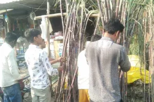 रायबरेलीः देवोत्थान एकादशी पर घर-घर नारायण भगवान की हुई पूजा