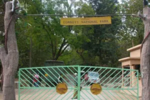 रामनगर: वन्यजीवों की सुरक्षा को कॉर्बेट में रेड अलर्ट जारी