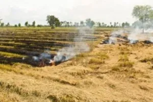 बरेली: पराली ने दूषित की हवा, पटाखों से एक्यूआई पहुंचेगा 400 पार