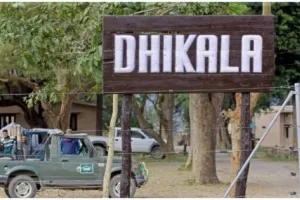 जंगल सफारी के क्षतिग्रस्त मार्गों में सुधारने में जुटा पार्क प्रशासन, 15 से पर्यटकों के खुलेगा ढिकाला जोन