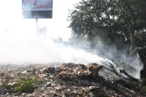 बरेली: हरे पेड़ में किसी ने लगा दी आग, दिनभर सुलगता रहा