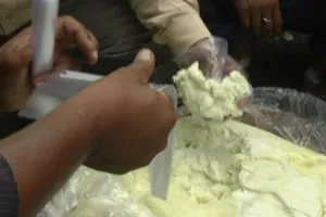 बरेली: नामचीन को छोड़ सिर्फ छोटी दुकानों पर सैंपलिंग