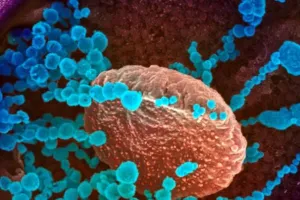 जानें कोविड-19 के नए वेरिएंट ओमिक्रोन को क्यों बताया है खतरनाक?