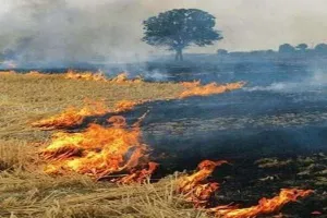 पराली जलाने वालों को झांसी प्रशासन कड़ी समझाइश देने की तैयारी में
