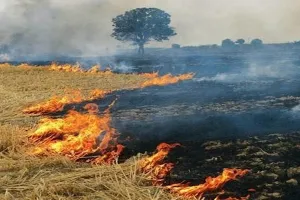 पराली के संबंध में किसानों को जागरूक करने में जुटा झांसी प्रशासन