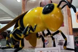 हल्द्वानी में तीन दिवसीय हनी-बी अंतरराष्ट्रीय महोत्सव शुरू, 700 से ज्यादा मौनपालक हुए शामिल