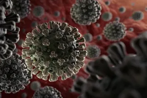 भारत में Omicron के मिले दो और केस, गुजरात में विदेश से आए पॉजिटिव शख्स के संपर्क में आकर हुए संक्रमित