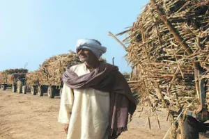 बरेली: छह हजार किसानों के सट्टे बंद होने का खतरा