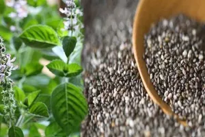 शरीर में बढ़ रही है सूजन तो यूं करें तुलसी के बीज का इस्तेमाल