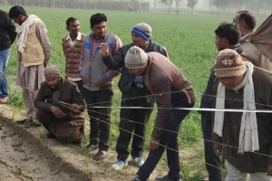 रामपुर : जंगल में तेंदुआ के पद चिन्ह मिलने से मचा हड़कंप