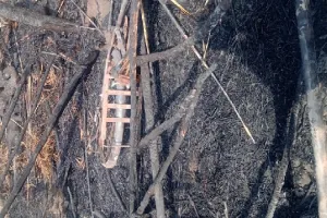 बिजनौर : पशुशाला में आग लगने से 9 पशु जले, दो लाख की क्षति