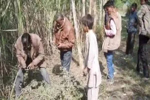 पुलिस व वन विभाग नहीं बरामद कर पाया मारे गए हिरन का शव, जांच जारी