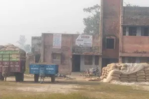 हरदोई: सामुदायिक स्वास्थ्य केंद्र में चल रहा है धान क्रय केंद्र, चरागाह बना अस्पताल परिसर