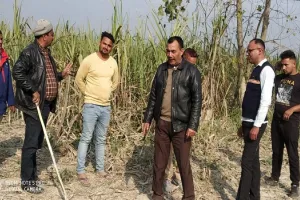 रामपुर : पिंजरा लेकर पहुंची वन विभाग की टीम, बैरंग लौटी