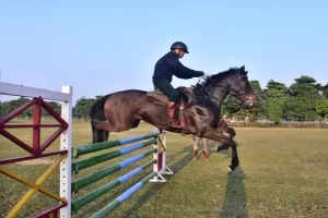 मुरादाबाद : प्रदेश स्तरीय घुड़सवारी प्रतियोगिता में 12 टीमें दिखाएंगी हुनर