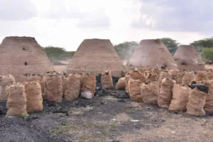 अमेठी: कोयले की भट्ठियां आबोहवा में घुल रहा जहर