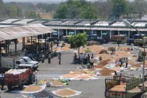 व्यापारियों ने की मंडी शुल्क वापस लेने की मांग, आंदोलन की दी चेतावनी