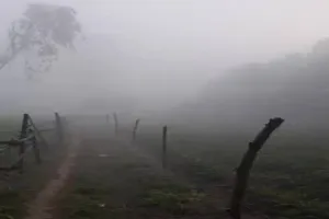 उत्तर की बर्फीली हवा से भीषण सर्दी का काउंटडाउन शुरू, 25 दिसंबर से तेजी से गिरेगा तापमान