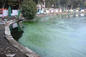 बरेली: पर्यावरण अभियंता ने शुरू कराई जांच, अर्बन प्लानर से मांगी रिपोर्ट