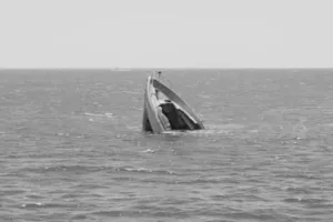 मध्य प्रदेश: सिंधु नदी में नाव पलटने से बहे दो लोगों की तलाश जारी