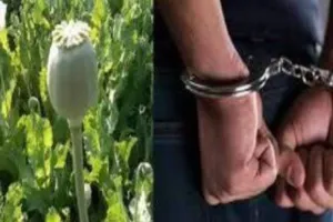 बरेली: तस्कर छोटे प्रधान, उस्मान के बाद अब अफीम तस्करों की संपत्ति हुई फ्रीज