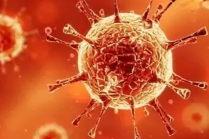 रायबरेली में पैर पसार रहा कोरोना, मिले 153 नए मरीज