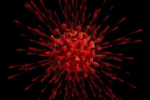 मुरादाबाद में चार स्वास्थ्यकर्मियों समेत 67 कोरोना संक्रमित मिले, स्वास्थ्य विभाग की उड़ी नींद