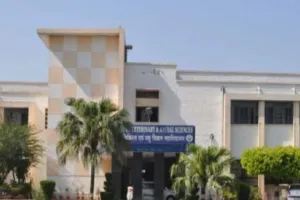 पंतनगर: पशु चिकित्सा छात्रों को डिग्री पूरी होने से पहले मिला नौकरी का ऑफर