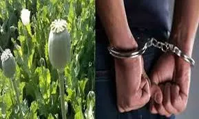 खटीमा: नेपाल ले जाई जा रही 1.876 किलो अफीम समेत तीन दबोचे